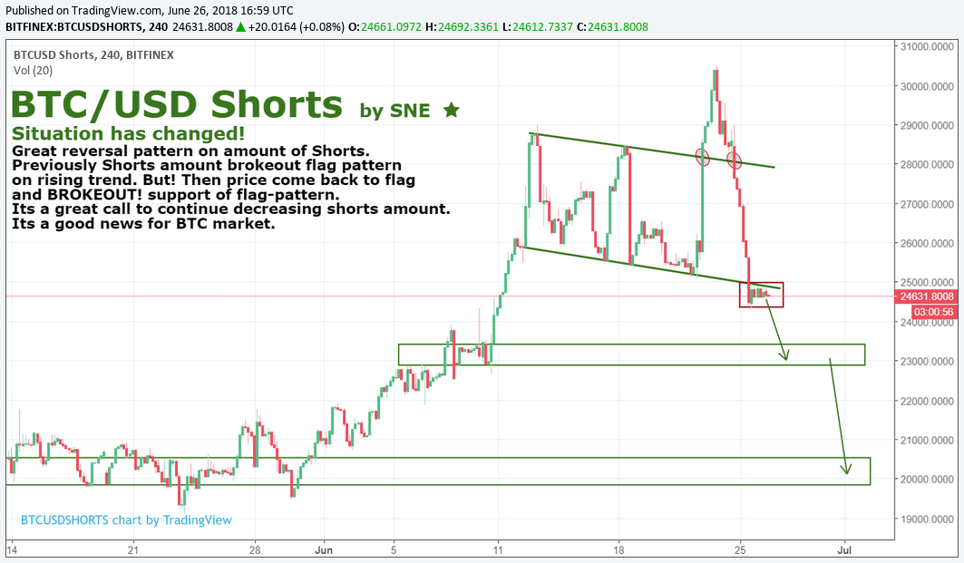 BTC/USD Shorts amount review 26.06 BTC/USD Shorts amount review 26.06